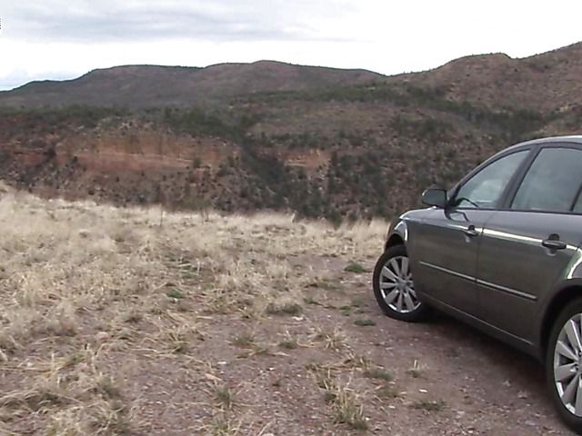 Brunette girl with shaved pussy peeing on the roadside