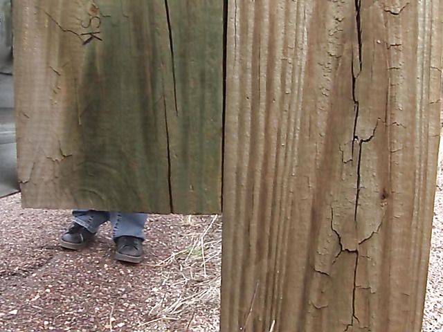 Brunette girl with shaved pussy peeing on the roadside