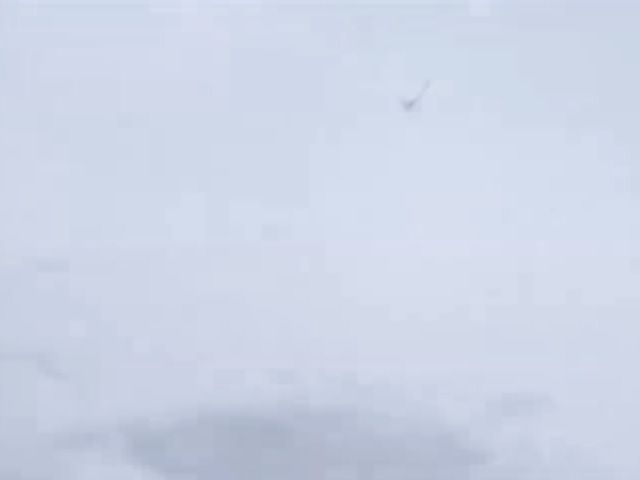 Girlfriend sucking dick in the snow