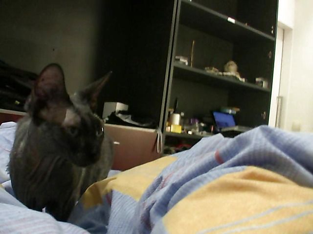 Small titted amateur cutie fucked and creamed