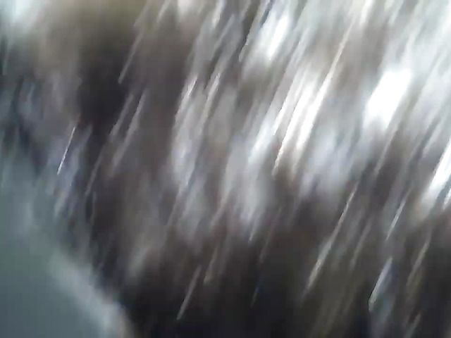 Horny girlfriend likes anal sex