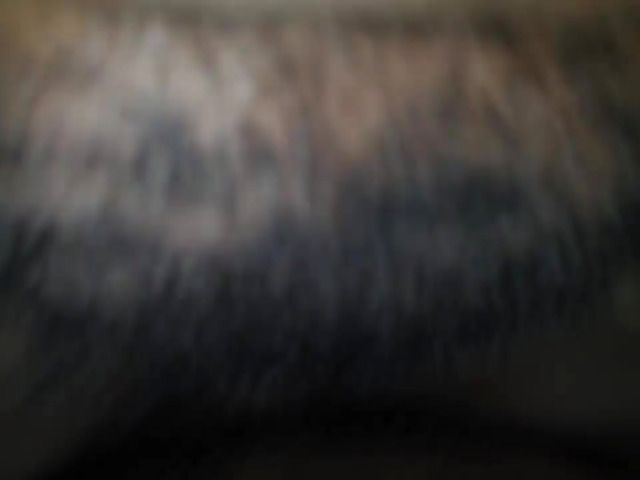 Black BBW Georgia Peach gets doggystyled