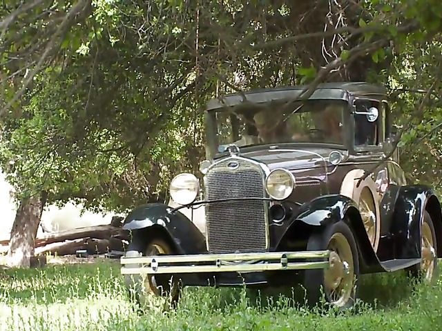 Beautiful blonde gets her pussy poked outdoors