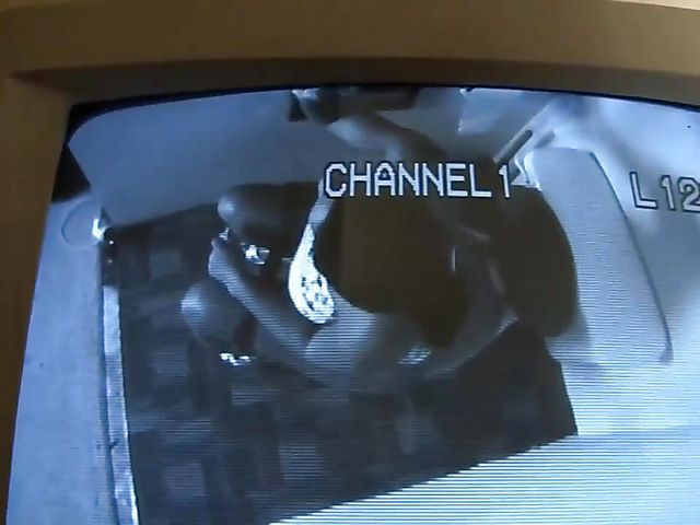 Interracial gloryhole blowjob with busty black cutie