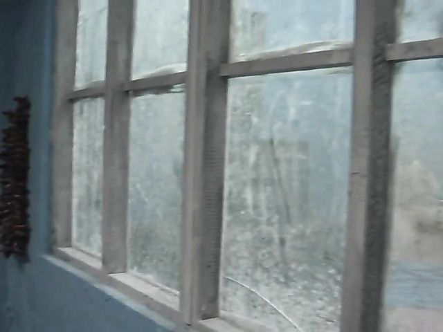 Group sex with perky titted cutie Angel Hott