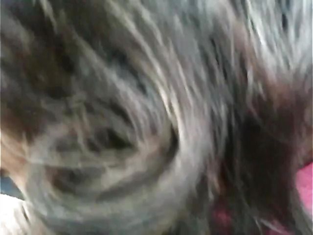 Big breasted amateur giving a car blowjob