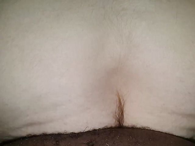 Hairy amateur enjoys her boyfriends black cock