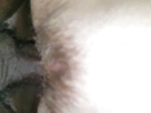 Hairy amateur enjoys her boyfriends black cock