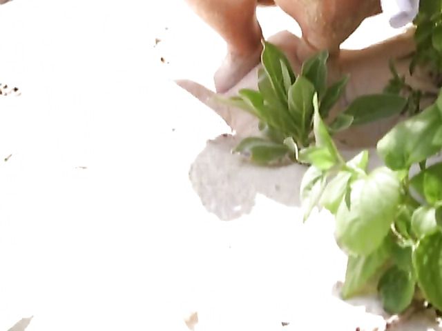 Busty asian babe in bikini Irie Saaya plays on the beach