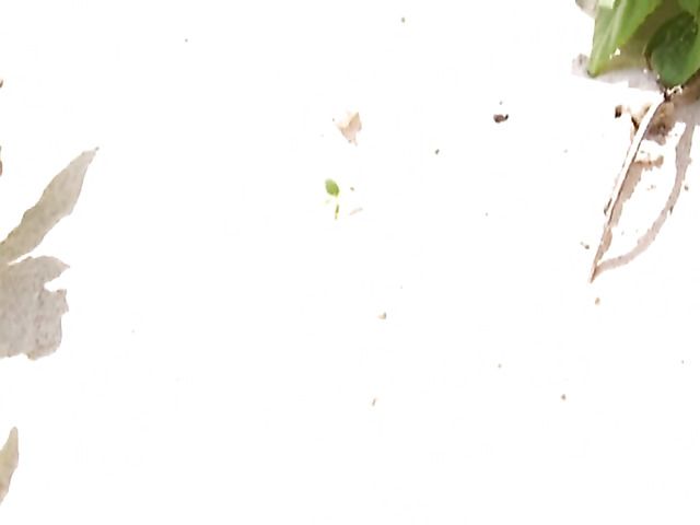 Busty asian babe in bikini Irie Saaya plays on the beach