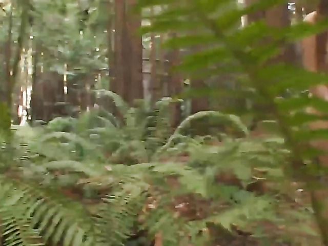 Busty asian makes man cum in the forest