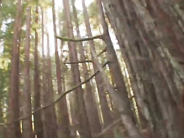 Busty asian makes man cum in the forest
