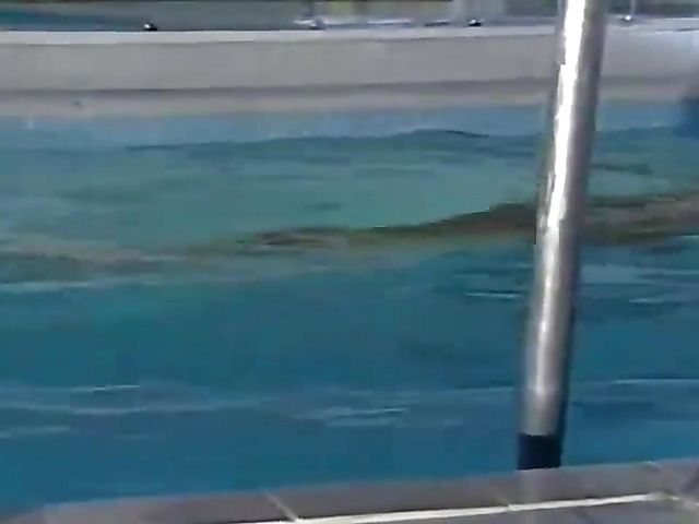 Stunning brunette swimming then fucking