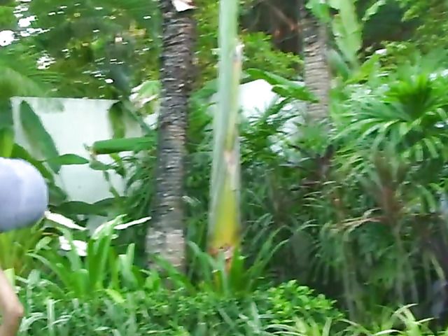 Thai girl with monster tits deepthroated and facialed