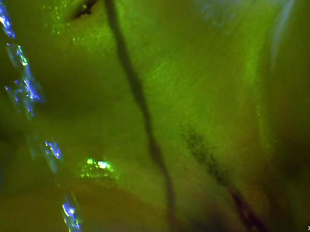 Hot lesbian bath with lots of pleasure