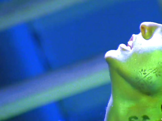 Hot lesbian bath with lots of pleasure