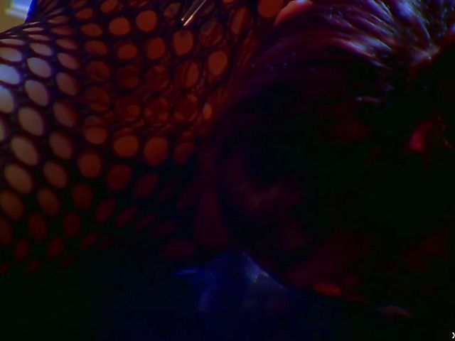 Zoe Britton lesbian experience with dangerous Sea J Raw