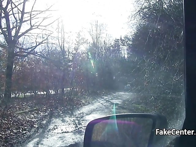 Hairy amateur gets picked up and fucked