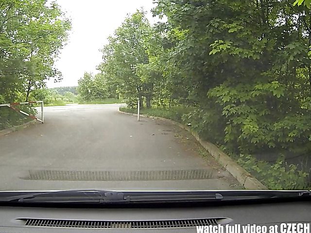 Czech redhead sucks and fucks in the car for money