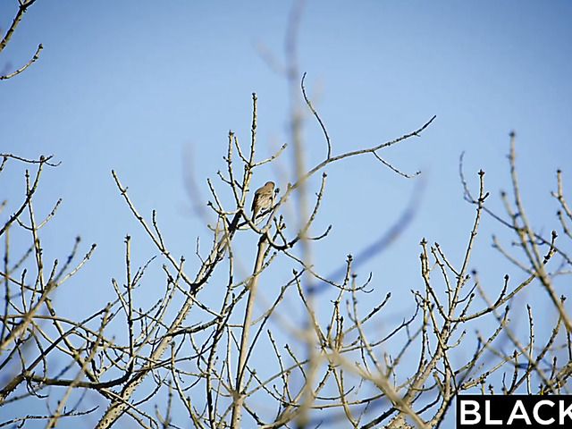 All natural teen cutie gets blacked and loves it