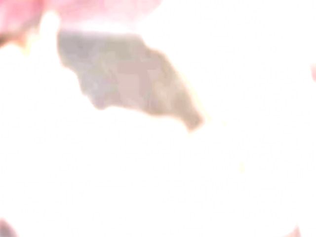 Annie Cruz fucks her slave boy with a strap-on