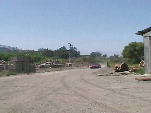 Outdoor DP for a curly haired whore