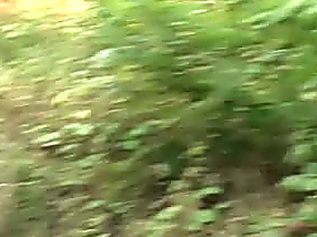 Hot slut gets cum over her white titties