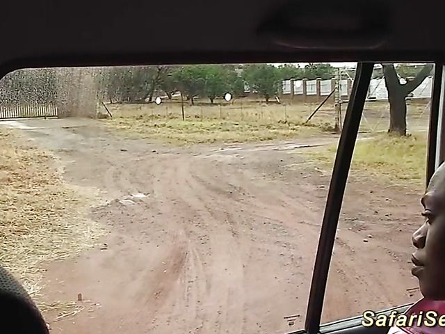 German guy fucks African hooker in her shaved pussy