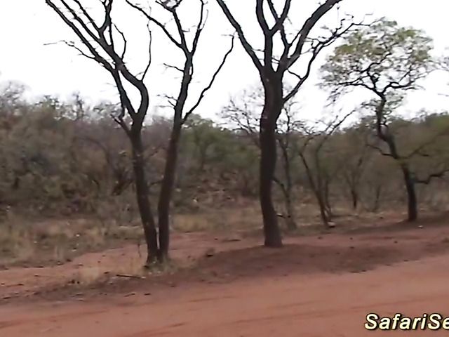 German guy fucks African hooker in her shaved pussy