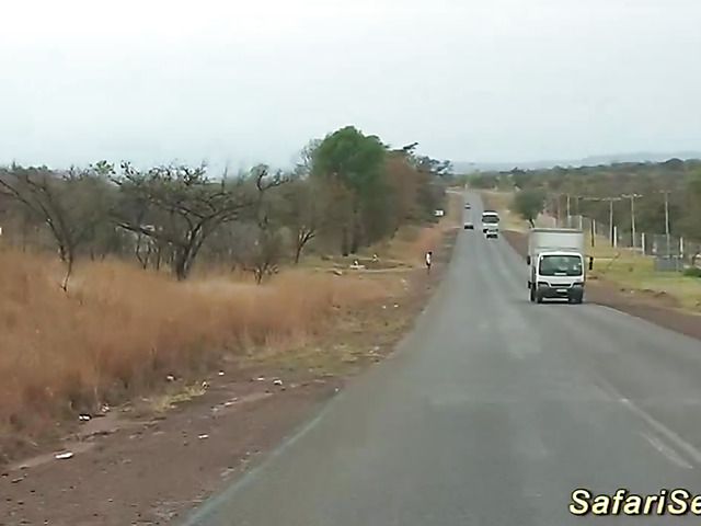 German guy fucks African hooker in her shaved pussy