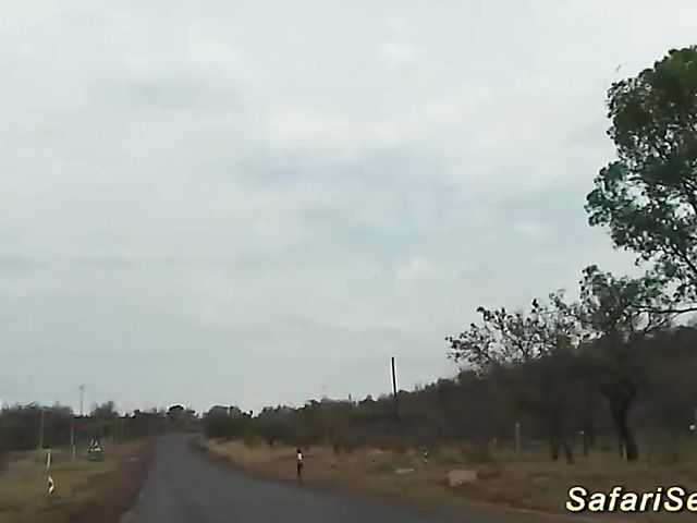 German guy fucks African hooker in her shaved pussy