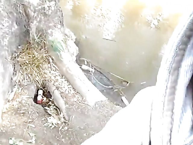 Asian girlfriend gives a public blowjob