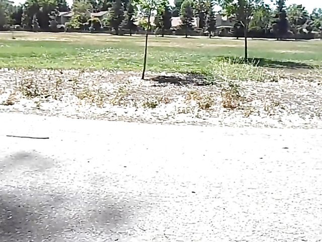 Asian girlfriend gives a public blowjob