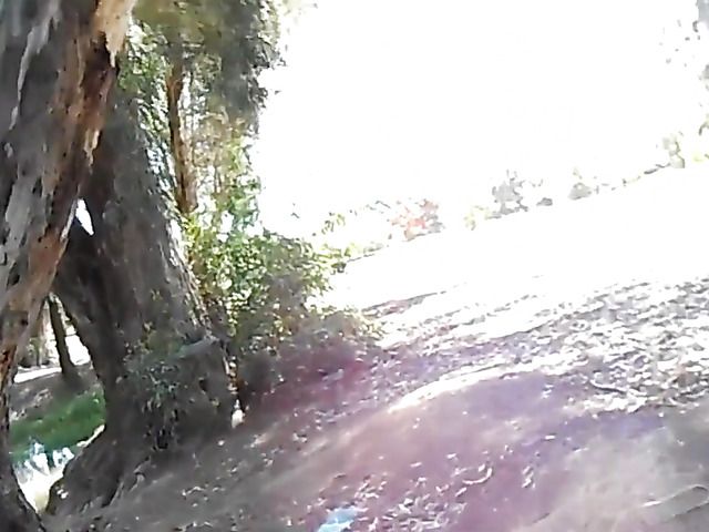 Asian girlfriend gives a public blowjob