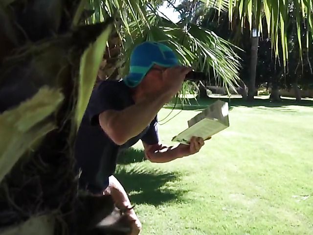 Old and young fuck under the palm tree