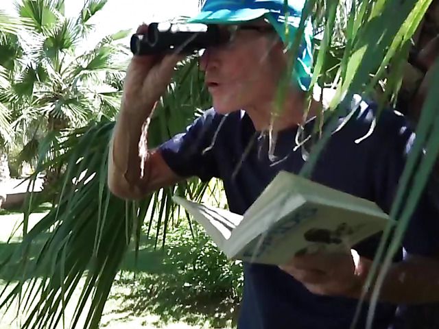 Old and young fuck under the palm tree