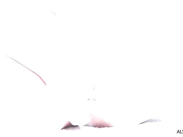 Adult model with long pussy lips gets fisted