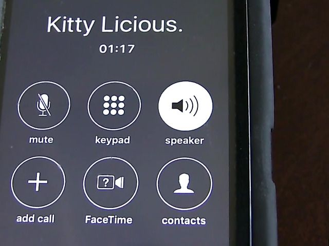Call girl Kitty gets dicked down on camera