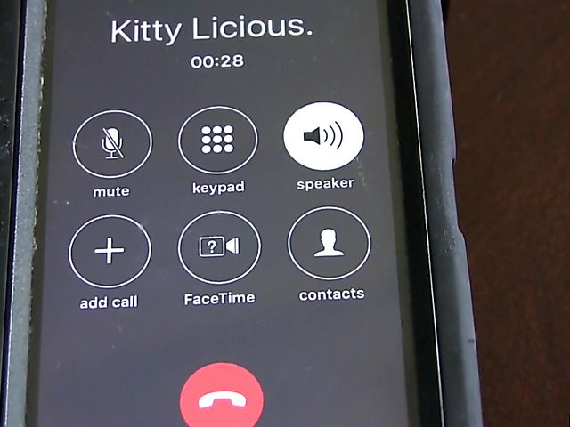 Call girl Kitty gets dicked down on camera