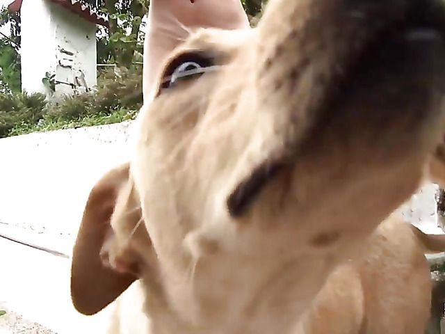 Petite latina girl gets nailed by a pool boy