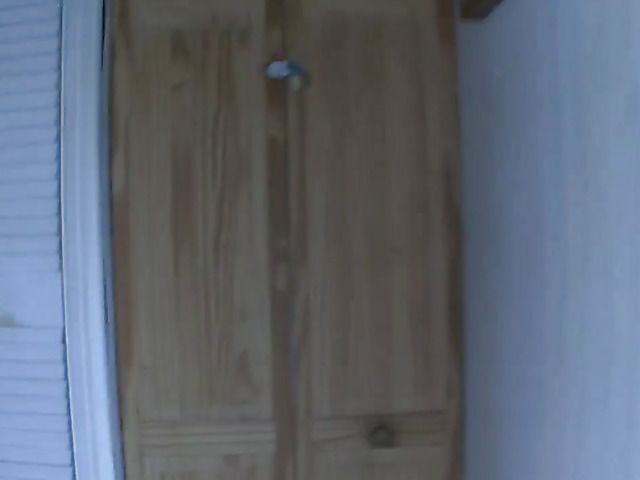 Bikini-clad girls with small tits public flashing and fingering