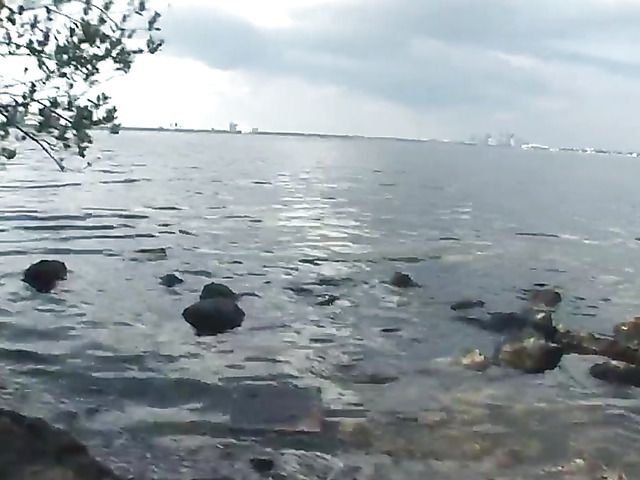 Naughty amateur flashing tits and fingering pussy