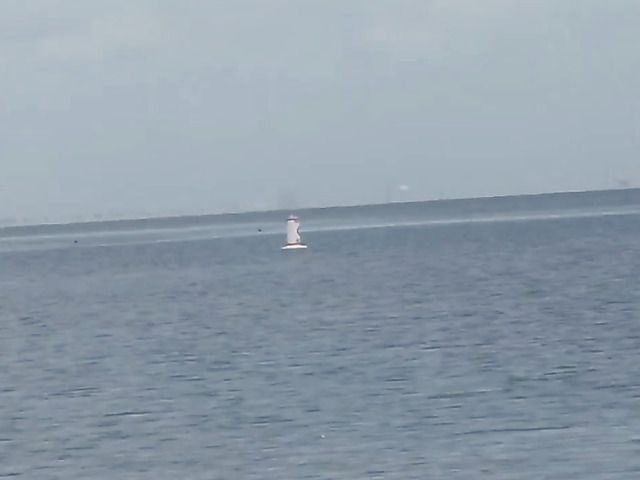 Pink pussy masturbation in the middle of the bed