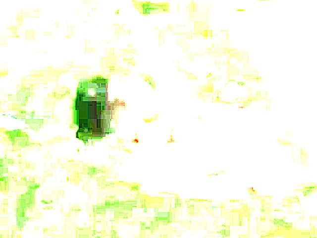 A public contest showing lots of naked ladies