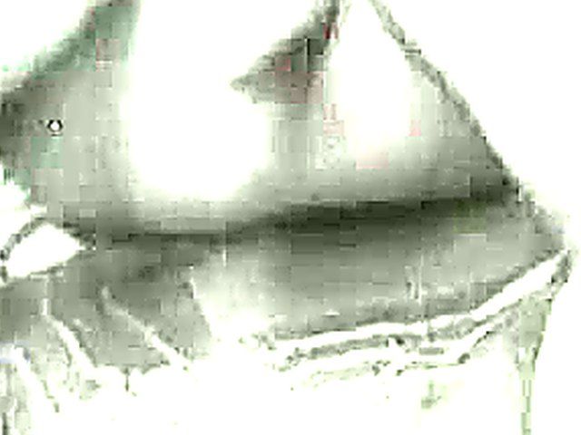 Vintage black and white porn with sexy ladies