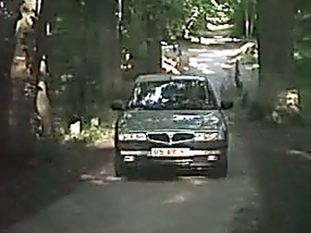 Hot collection of a hot babes getting fucked