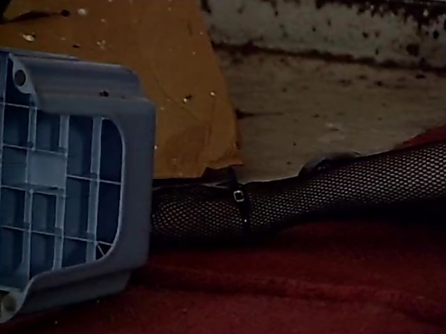 Ron Jeremy vintage threesome scene with some anal