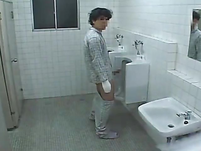 Public toilet fuck with a chubby asian woman