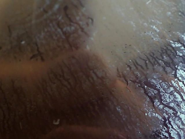 Hot sex with nasty teen girls - 3 hardcore scenes