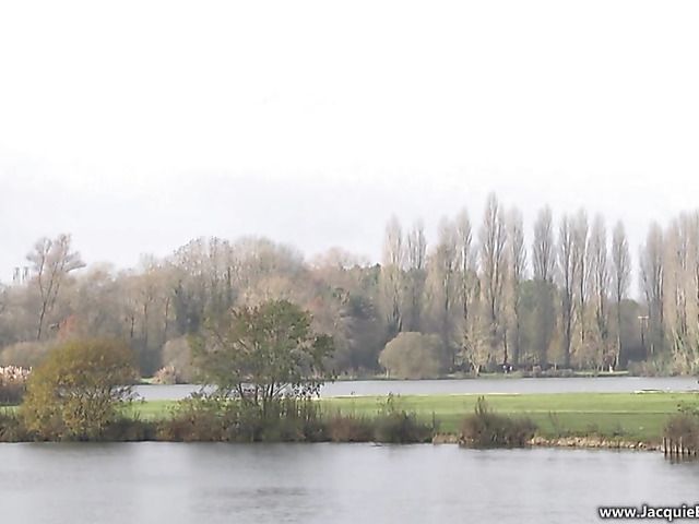 Amateur anal sex with skinny mom Louise